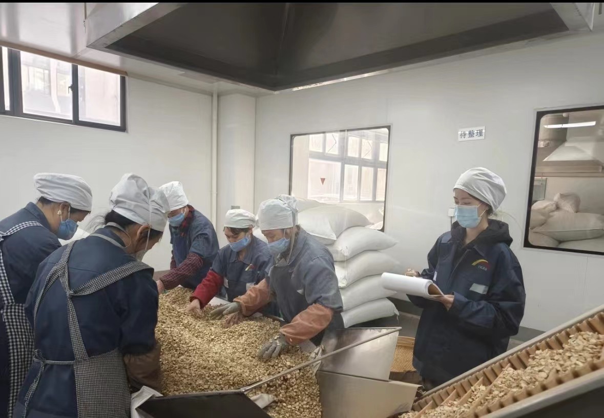 บริษัท Qingdao Biohoer Biotech Co. , Ltd. ได้เริ่มการก่อสร้างอย่างเป็นทางการ