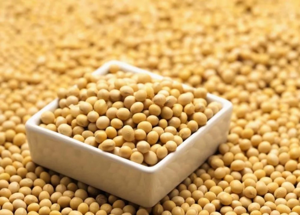 ประโยชน์ของ isoflavones ถั่วเหลืองคืออะไร?
