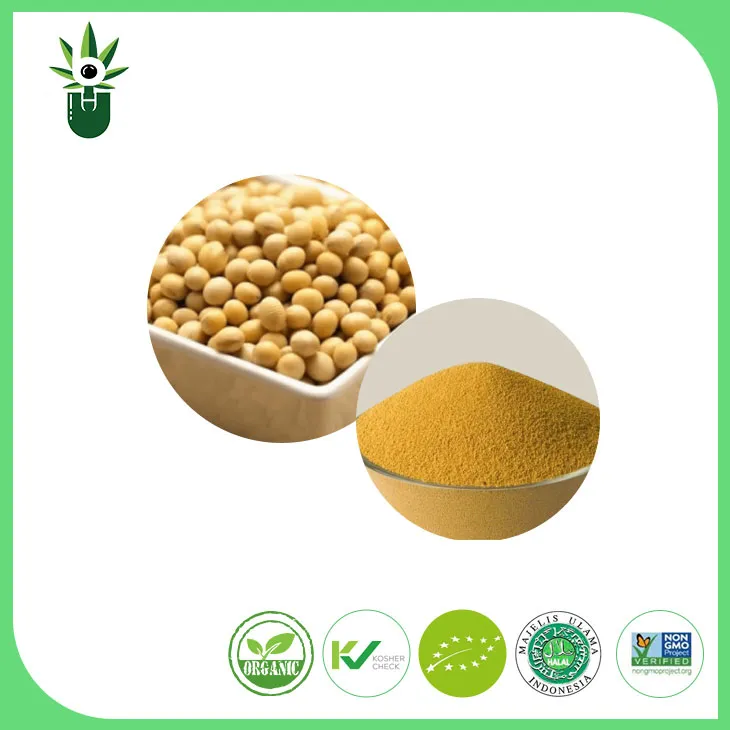 อะไรคือผลกระทบของ isoflavones ถั่วเหลืองต่อผู้หญิง?