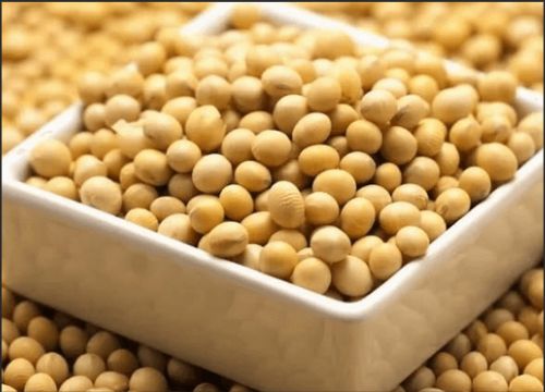ประโยชน์ของ isoflavones ถั่วเหลืองคืออะไร?
