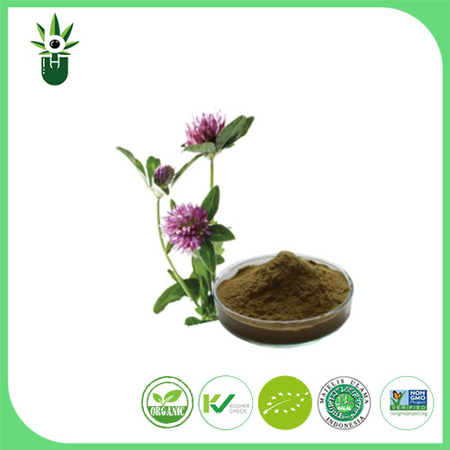 สารสกัด Medicago sativa L